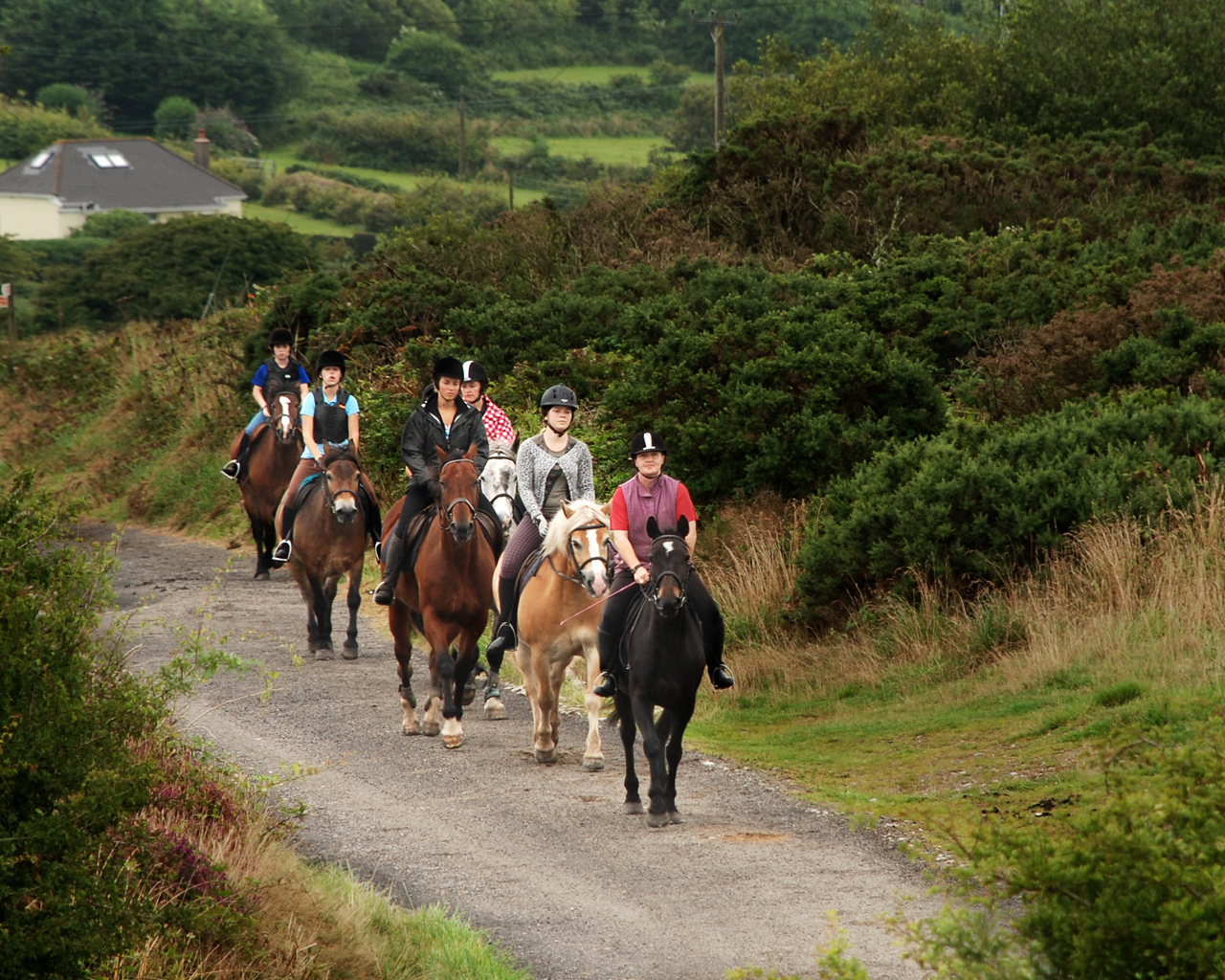 Carn Brea Castle Guide